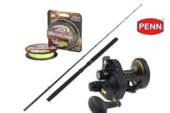 Penn Fathom 30 2speed/Regiment 15-40Lbs Havfiskepakke