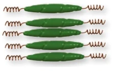 Spiral Lodd 5stk 10gr