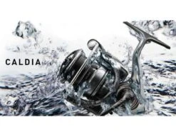 Daiwa Caldia 4000D-CXH -Sportsfiskebutikken 56878 Daiwa Daiwa Caldia 4000D CXH 3