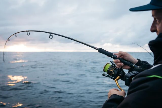 Havfiskesett Penn 8' 240cm 50-150g 7 Havfiskesett Penn 8' 240cm 50-150g - Bilde 5