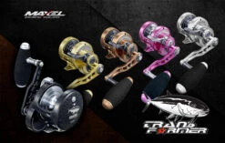 Maxel Transformer F60H